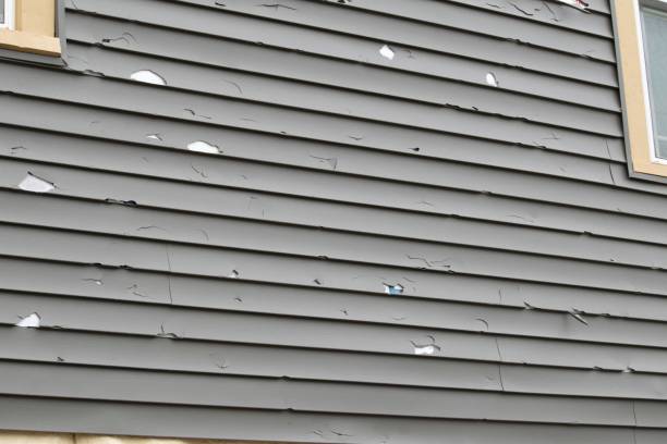 Historical Building Siding Restoration in Anna, TX